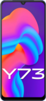 Vivo Y73 (8 GB/128 GB)